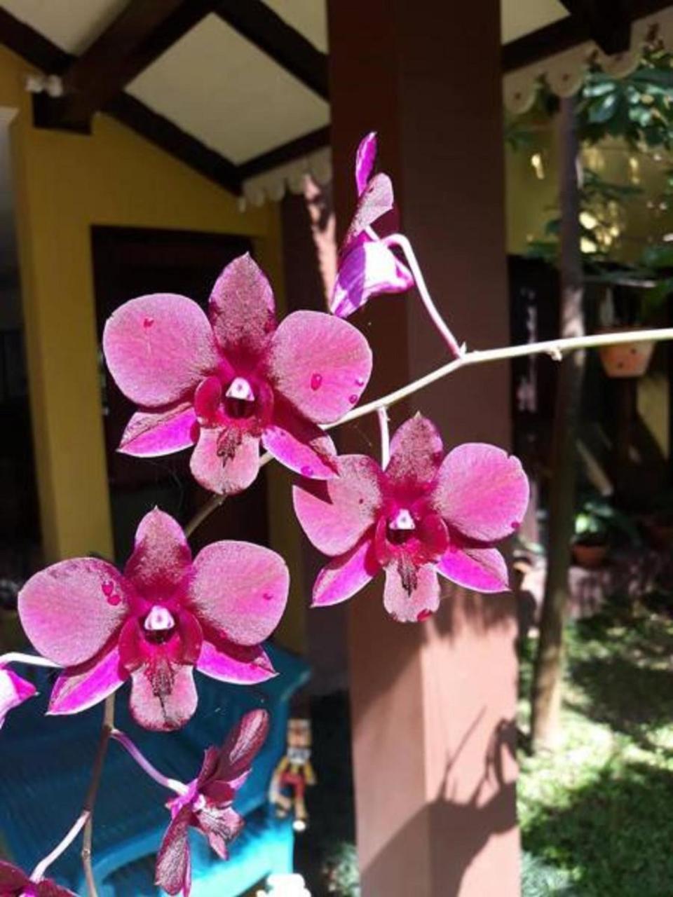 ניאונגשווה Thanakha Inle Hotel מראה חיצוני תמונה